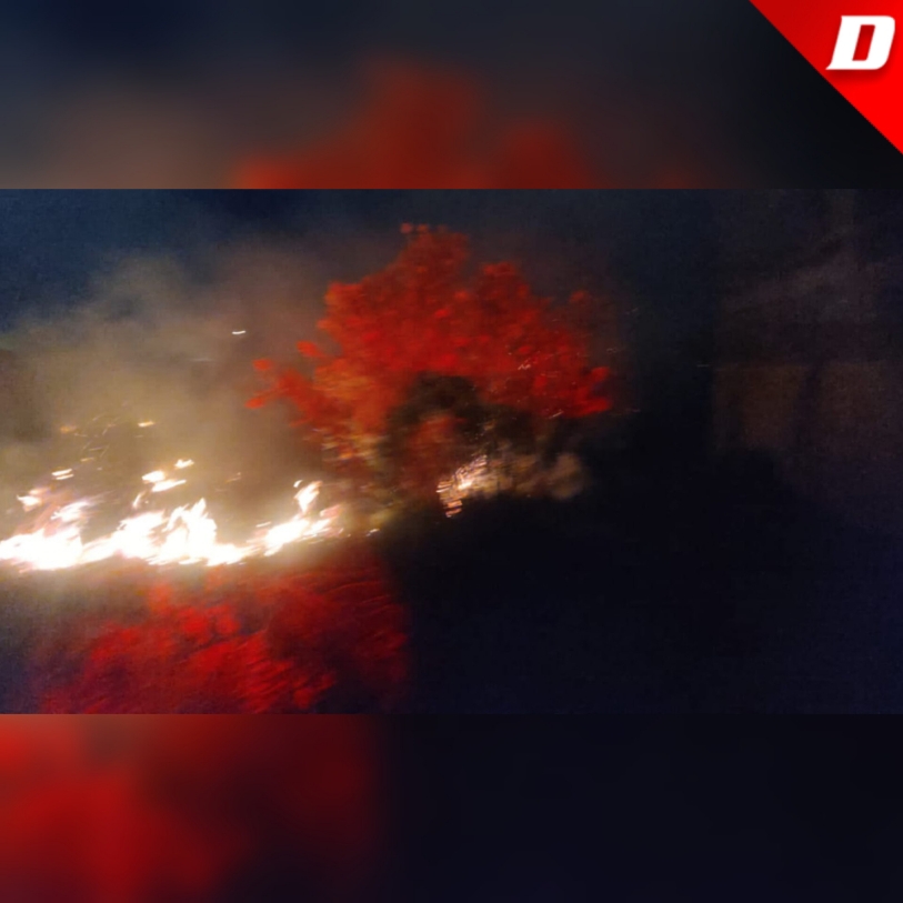 Tres Incendios De Pastizales Se Registran En SCLC Diario De Chiapas