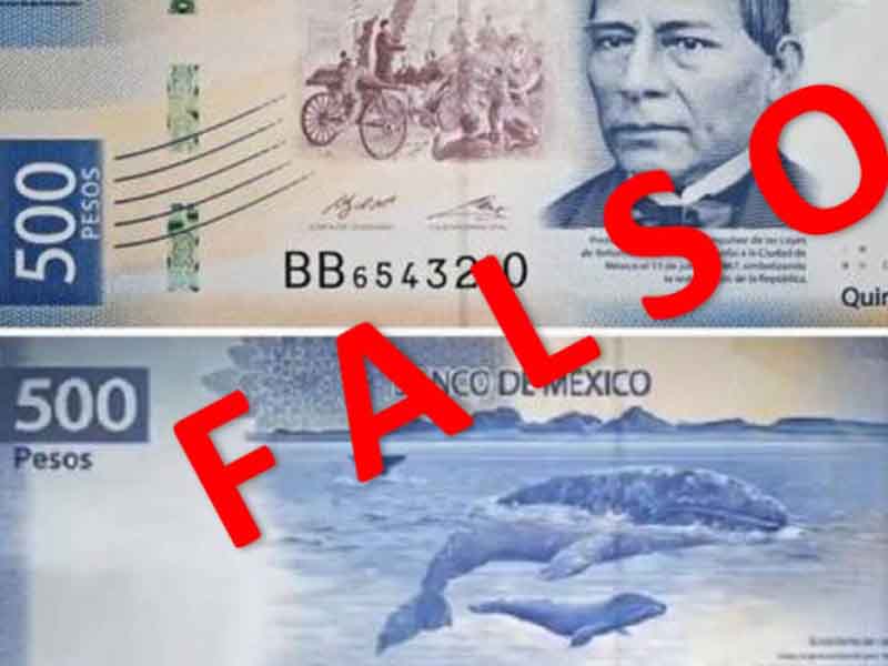 Cómo detectar billetes falsos en mi comercio?