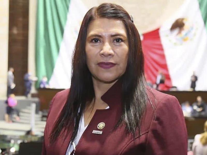 Diputada chiapaneca de Morena votó contra Reforma Electoral - Diario de  Chiapas