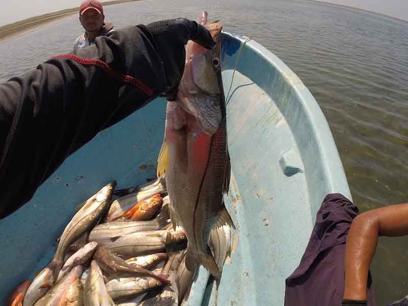 Impulso a la pesca y la acuacultura en Chiapas