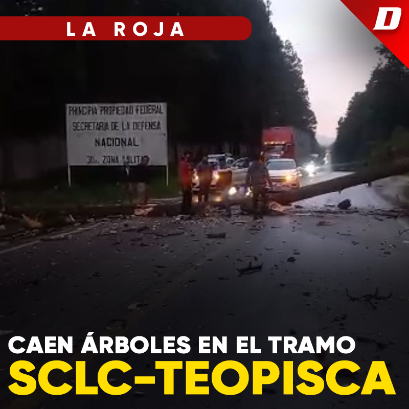 Caen árboles En El Tramo Sclc Teopisca Diario De Chiapas 3422