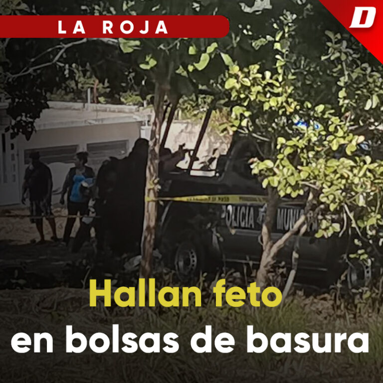 Hallan Feto En Bolsas De Basura Diario De Chiapas