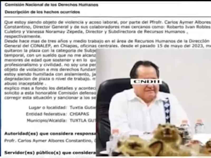 FOTO COMENTARIO ZETA