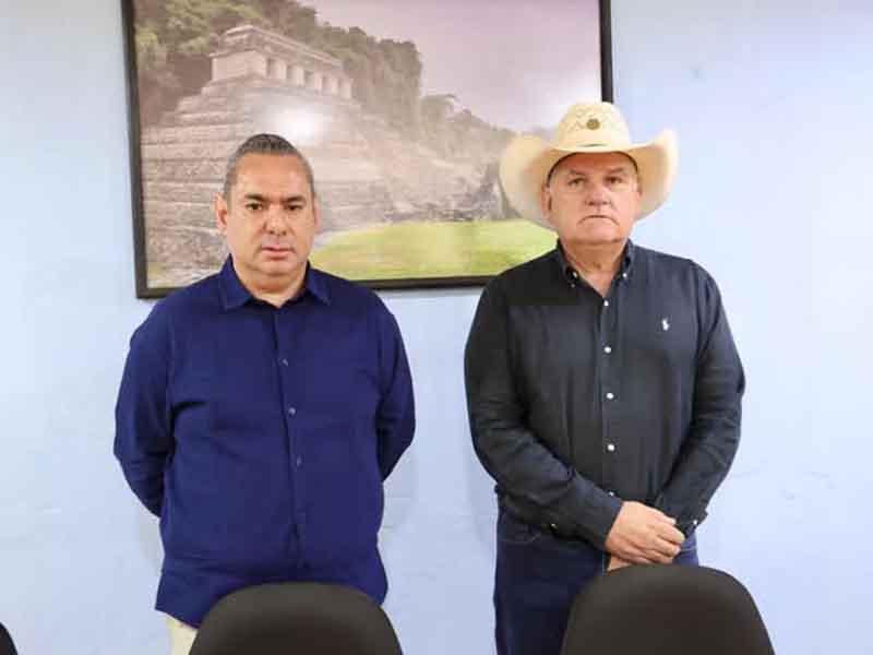 FOTO AQUÍ CHIAPAS