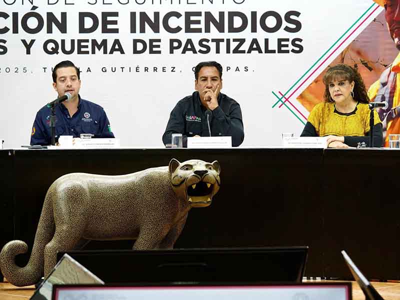 FOTO COMENTARIO ZETA