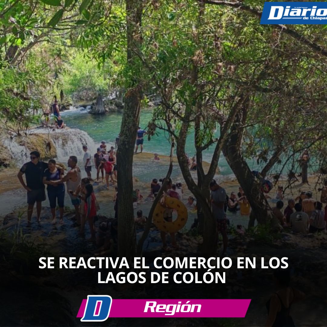 Notas web