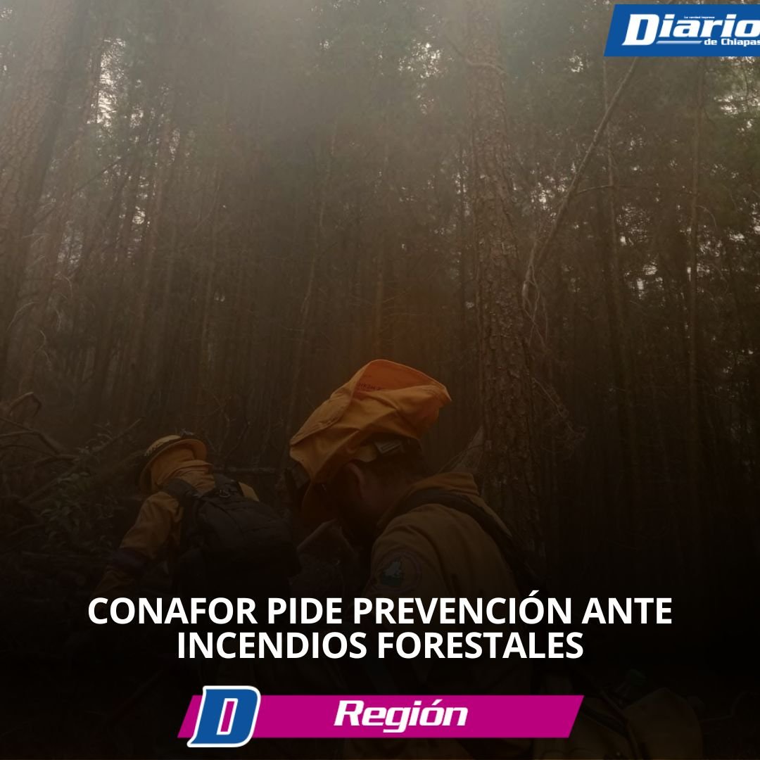Notas web_20250417_134837_0000