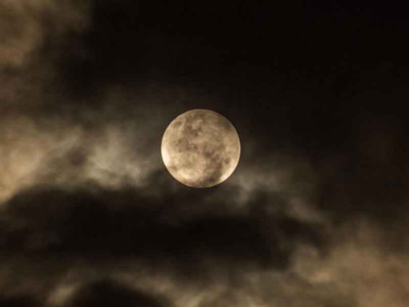 DICU_39 MICROLUNA