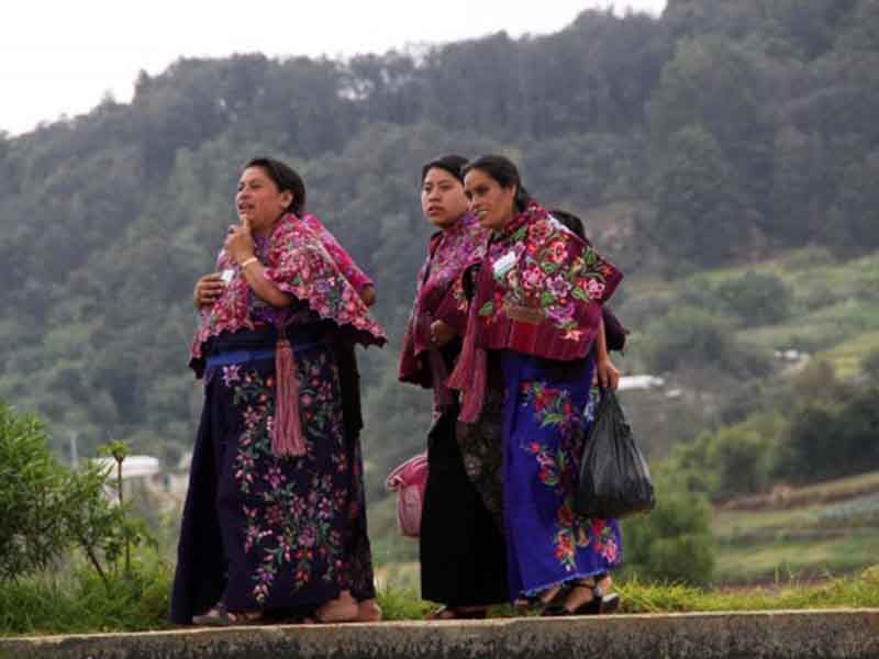 DIME_23A.G INDIGENAS (8)