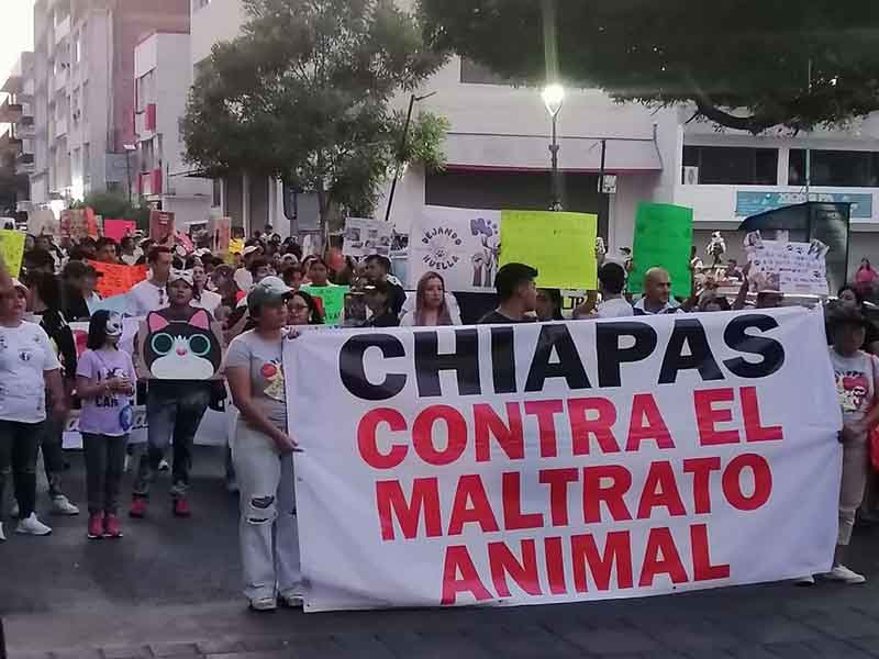 FOTO PUNTOS FISCALES.