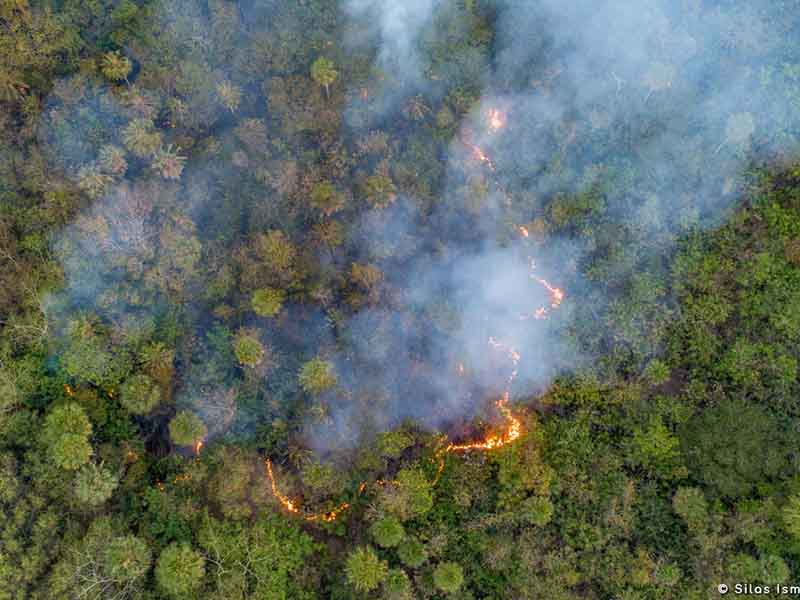Fires in the state of Mato Grosso do Sul, Brazil. 2020.