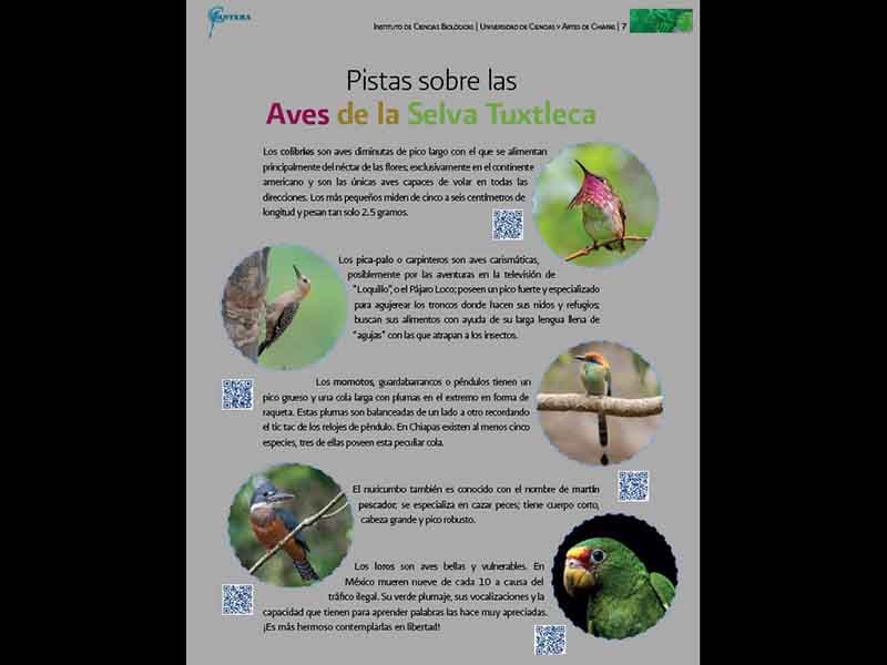 DIME_15B (4)
