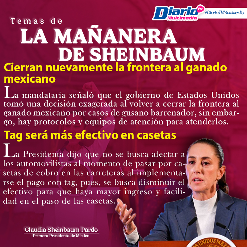 LA MAÑANERA DE SHEINBAUM