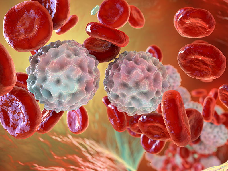 Lymphocytosis, leukocytosis, 3D illustration showing abundant white blood cells inside blood vessel