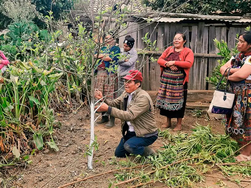 FOTO POR LA CONCIENCIA
