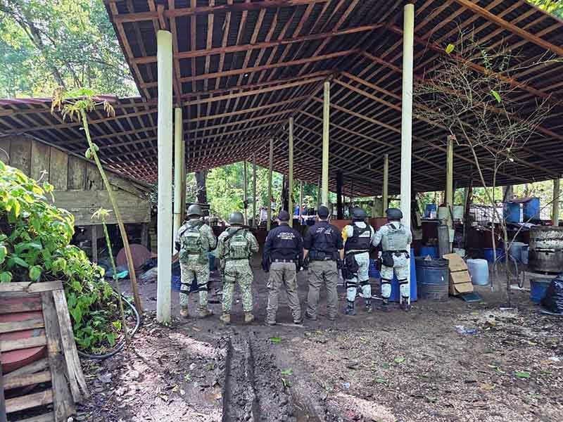 Golpe al narco (1)