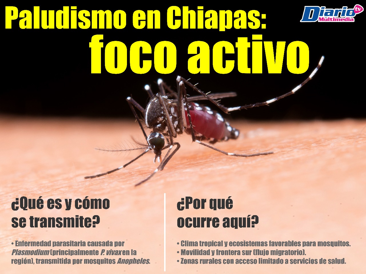 WhatsApp Image 2025-08-08 at 17.53.59