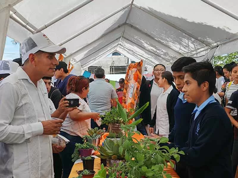 Jornada de Paz en Altamirano - Diario de Chiapas