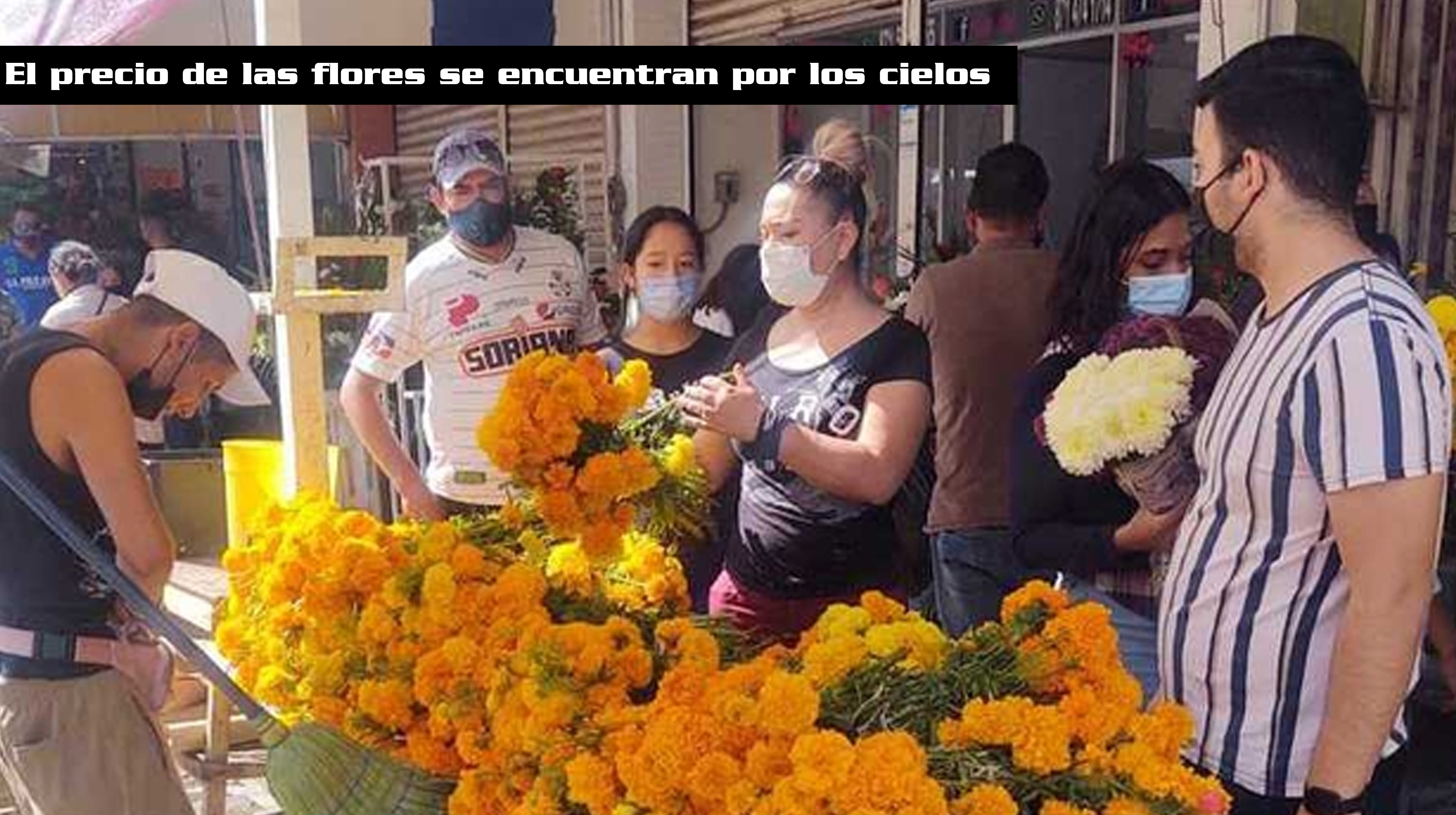 En Torreón el precio de las flores aumenta por el Día de Muertos - Diario  de Chiapas